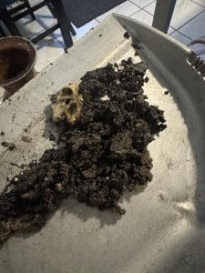 Clean ducts & vents, Install ducts & vents, Repair ducts & vents,